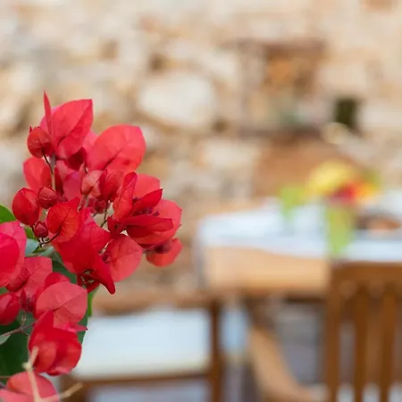 Little Karafillias Chalki House *