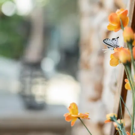 Little Karafillias Chalki House Ferienhaus *