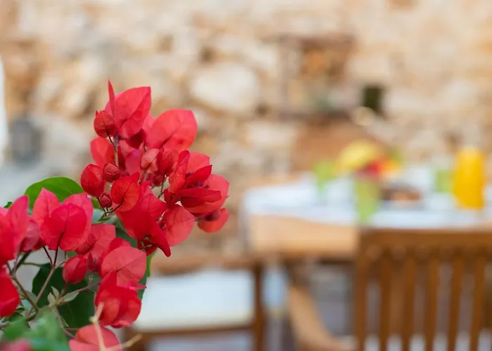 Little Karafillias Chalki House *