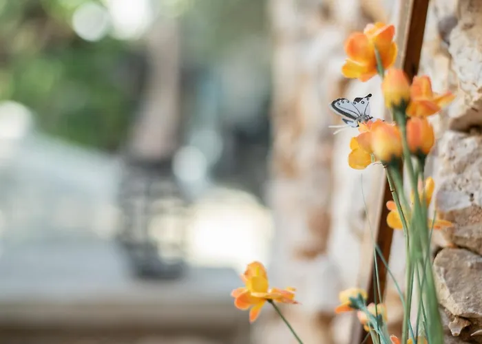 Little Karafillias Chalki House Hébergement de vacances *